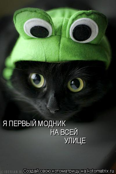 Я ПЕРВЫЙ МОДНИК НА ВСЕЙ УЛИЦЕ... Котоматрица: Я ПЕРВЫЙ МОДНИК НА ВСЕЙ УЛИЦЕ