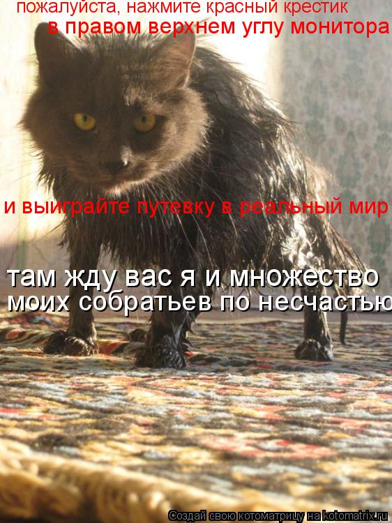 пожалуйста, нажмите красный крестик в правом верхнем углу монитора и выиграйте путевку в реальный мир... Котоматрица: пожалуйста, нажмите красный крестик в правом верхнем углу монитора и выиграйте путевку в реальный мир там жду вас я и множество моих собра