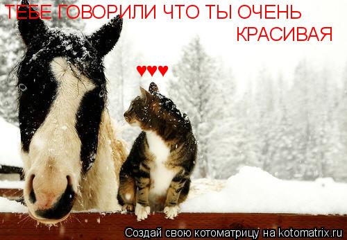 ТЕБЕ ГОВОРИЛИ ЧТО ТЫ ОЧЕНЬ КРАСИВАЯ ♥♥♥... Котоматрица: ТЕБЕ ГОВОРИЛИ ЧТО ТЫ ОЧЕНЬ КРАСИВАЯ ♥♥♥