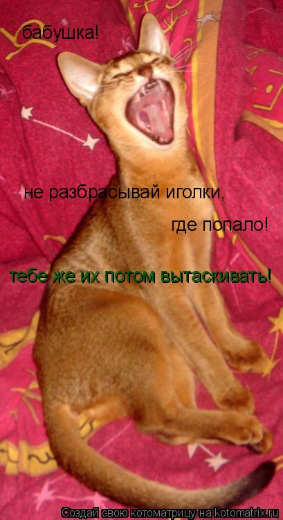 бабушка! не разбрасывай иголки, где попало! тебе же их потом вытаскивать!... Котоматрица: бабушка! не разбрасывай иголки, где попало! тебе же их потом вытаскивать!