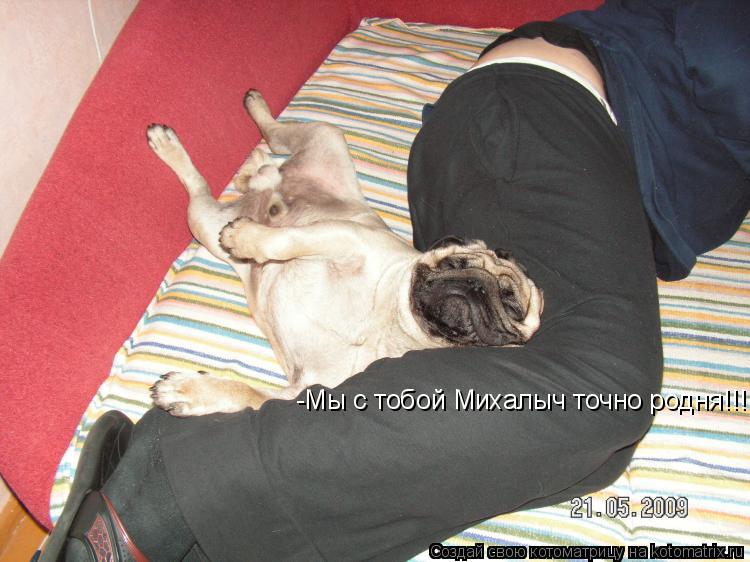 -Мы с тобой Михалыч точно родня!!!!... Котоматрица: -Мы с тобой Михалыч точно родня!!!!