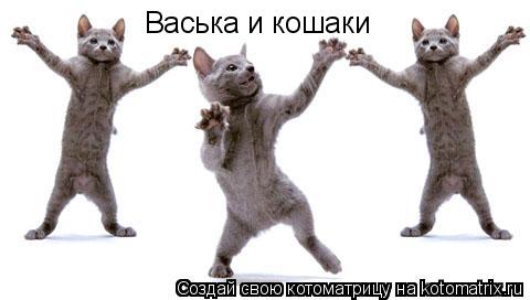 Васька и кошаки... Котоматрица: Васька и кошаки