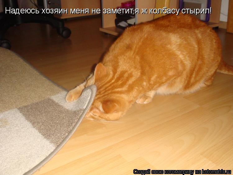 Надеюсь хозяин меня не заметит,я ж колбасу стырил!... Котоматрица: Надеюсь хозяин меня не заметит,я ж колбасу стырил!