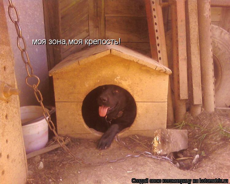 моя зона,моя крепость!... Котоматрица: моя зона,моя крепость!