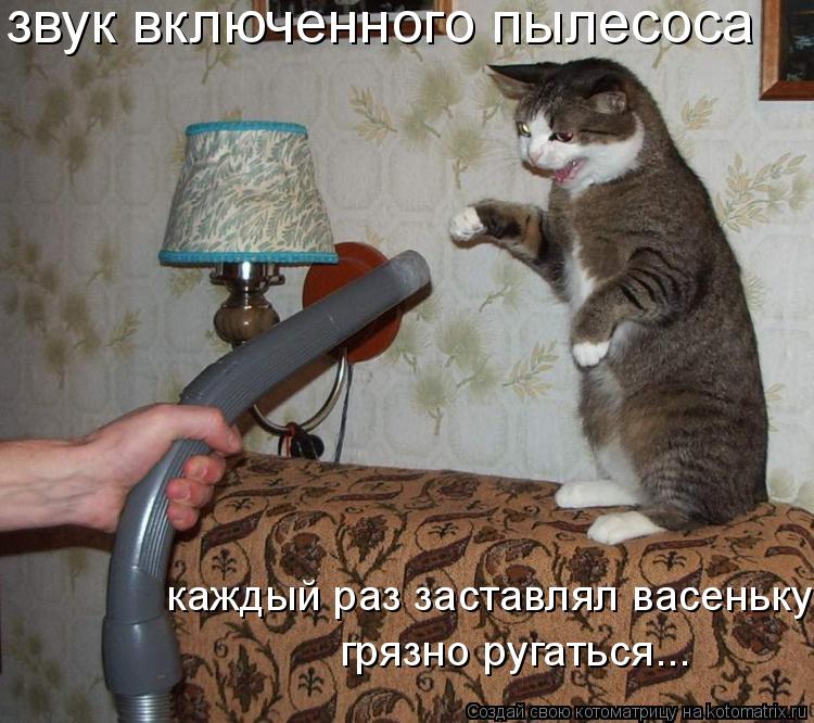 звук включенного пылесоса каждый раз заставлял васеньку грязно ругаться...... Котоматрица: звук включенного пылесоса каждый раз заставлял васеньку грязно ругаться...