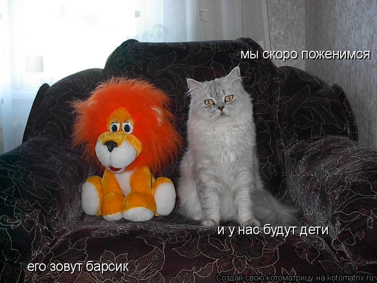 мы скоро поженимся его зовут барсик и у нас будут дети и у нас будут дети... Котоматрица: мы скоро поженимся его зовут барсик и у нас будут дети и у нас будут дети