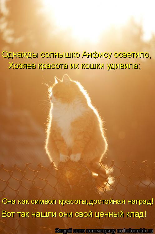 Однажды солнышко Анфису осветило, Хозяев красота их кошки удивила; Она как символ красоты,достойная н... Котоматрица: Однажды солнышко Анфису осветило, Хозяев красота их кошки удивила; Она как символ красоты,достойная наград! Вот так нашли они свой ценный к