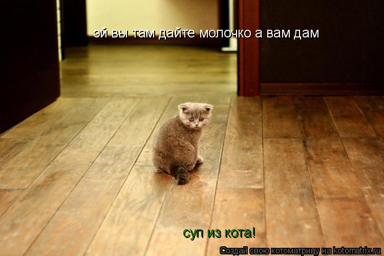 эй вы там дайте молочко а вам дам суп из кота!... Котоматрица: эй вы там дайте молочко а вам дам суп из кота!