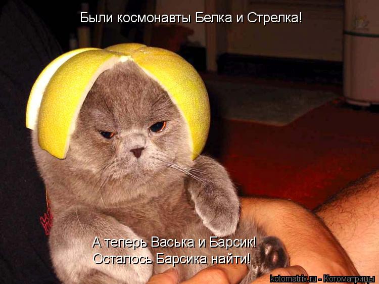 Я теперь летун как ГАГАРИН! Были космонавты Белка и Стрелка! Были космонавты Белка и Стрелка! А тепер... Котоматрица: Я теперь летун как ГАГАРИН! Были космонавты Белка и Стрелка! Были космонавты Белка и Стрелка! А теперь Васька и Барсик! Осталось Барсика най