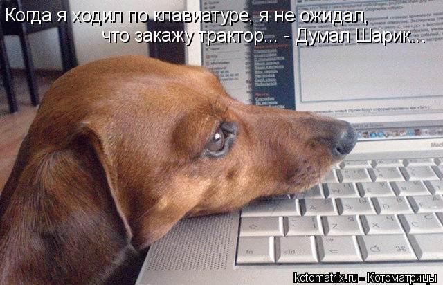 Когда я ходил по клавиатуре, я не ожидал, что закажу трактор... - Думал Шарик...... Котоматрица: Когда я ходил по клавиатуре, я не ожидал, что закажу трактор... - Думал Шарик...