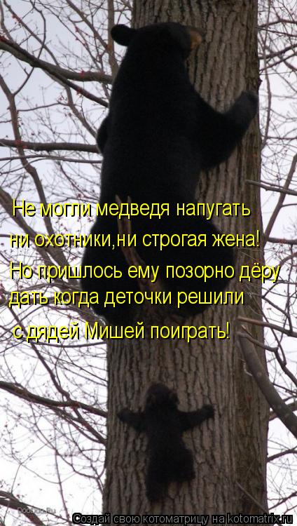 Не могли медведя напугать ни охотники,ни строгая жена! Но пришлось ему позорно дёру дать когда деточк... Котоматрица: Не могли медведя напугать ни охотники,ни строгая жена! Но пришлось ему позорно дёру дать когда деточки решили с дядей Мишей поиграть!