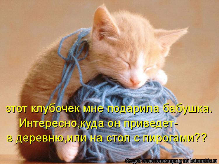 этот клубочек мне подарила бабушка. Интересно,куда он приведет- в деревню,или на стол с пирогами??... Котоматрица: этот клубочек мне подарила бабушка. Интересно,куда он приведет- в деревню,или на стол с пирогами??
