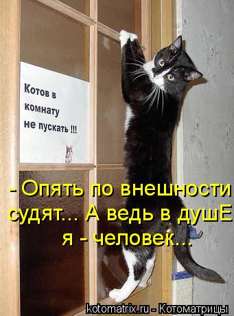 - Опять по внешности судят... А ведь в душЕ я - человек...... Котоматрица: - Опять по внешности судят... А ведь в душЕ я - человек...