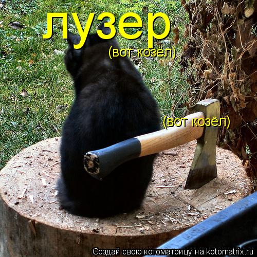 лузер (вот козёл) (вот козёл)... Котоматрица: лузер (вот козёл) (вот козёл)