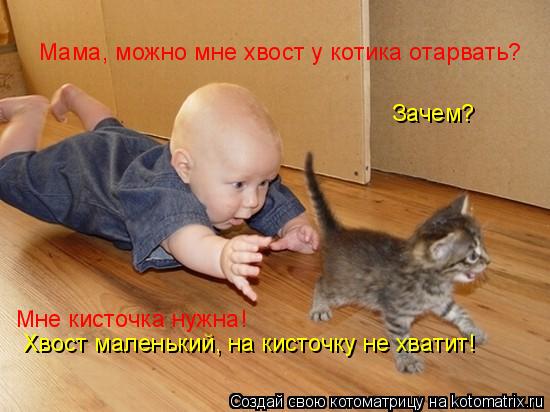 Мама, можно мне хвост у котика отарвать? Зачем? Мне кисточка нужна! Хвост маленький, на кисточку не х... Котоматрица: Мама, можно мне хвост у котика отарвать? Зачем? Мне кисточка нужна! Хвост маленький, на кисточку не хватит!