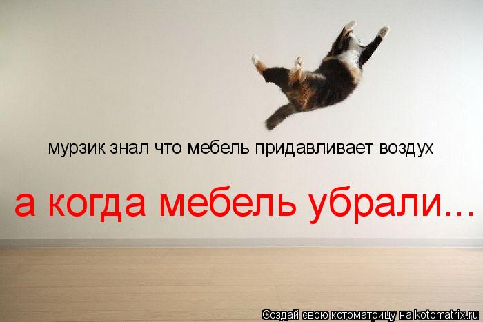 мурзик знал что мебель придавливает воздух а когда мебель убрали...... Котоматрица: мурзик знал что мебель придавливает воздух а когда мебель убрали...