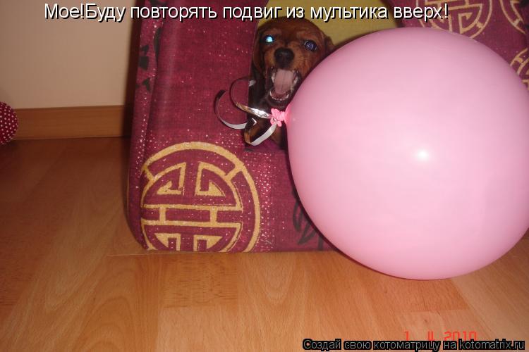 Мое!Буду повторять подвиг из мультика вверх!... Котоматрица: Мое!Буду повторять подвиг из мультика вверх!