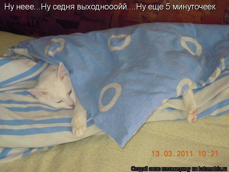 Ну неее...Ну седня выходнооойй....Ну еще 5 минуточеек... Котоматрица: Ну неее...Ну седня выходнооойй....Ну еще 5 минуточеек