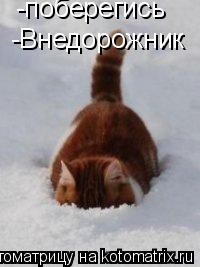 Котоматрица: -поберегись -Внедорожник