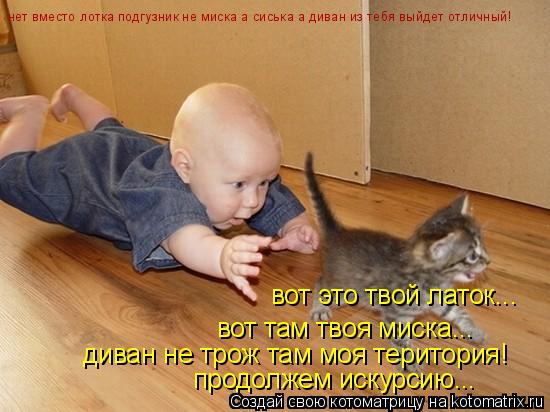 Котоматрица: вот это твой латок...  вот там твоя миска... диван не трож там моя територия! продолжем искурсию... нет вместо лотка подгузник не миска а сиська 