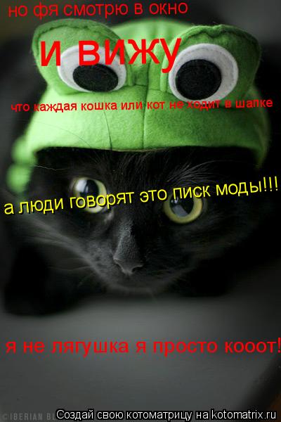 Котоматрица: я не лягушка я просто кооот! а люди говорят это писк моды!!! но фя смотрю в окно  и вижу что каждая кошка или кот не ходит в шапке