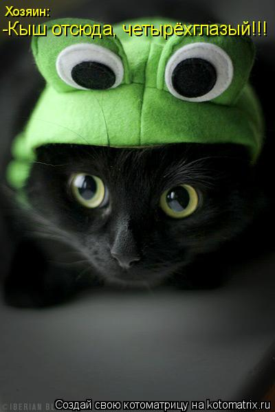 Котоматрица: Хозяин: -Кыш отсюда, четырёхглазый!!!