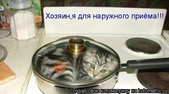 Хозяин,я для наружного приёма!!!... Котоматрица: Хозяин,я для наружного приёма!!!