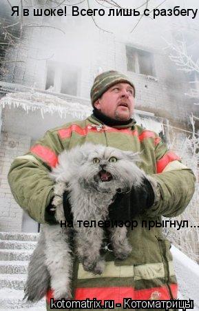 Я в шоке! Всего лишь с разбегу на телевизор прыгнул...... Котоматрица: Я в шоке! Всего лишь с разбегу на телевизор прыгнул...
