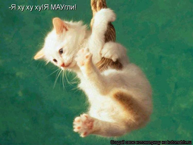 -Я ху ху ху!Я МАУгли!... Котоматрица: -Я ху ху ху!Я МАУгли!