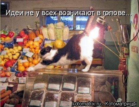 Идеи не у всех возникают в голове...... Котоматрица: Идеи не у всех возникают в голове...