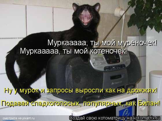 Муркааааа, ты мой мурёночек! Муркааааа, ты мой котеночек! Ну у мурок и запросы выросли как на дрожжях... Котоматрица: Муркааааа, ты мой мурёночек! Муркааааа, ты мой котеночек! Ну у мурок и запросы выросли как на дрожжях! Подавай сладкоголосых, популярных, ка