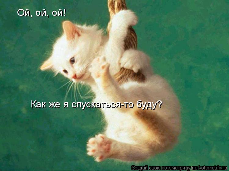 Ой, ой, ой! Как же я спускаться-то буду?... Котоматрица: Ой, ой, ой! Как же я спускаться-то буду?