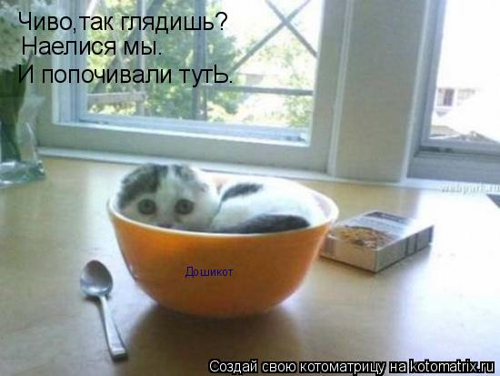 Чиво,так глядишь? Наелися мы. И попочивали тутЬ. Дошикот... Котоматрица: Чиво,так глядишь? Наелися мы. И попочивали тутЬ. Дошикот