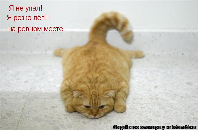 Я не упал! Я резко лёг!!! ...на ровном месте...... Котоматрица: Я не упал! Я резко лёг!!! ...на ровном месте...