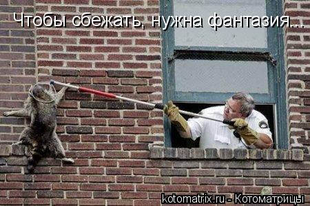 Чтобы сбежать, нужна фантазия...... Котоматрица: Чтобы сбежать, нужна фантазия...