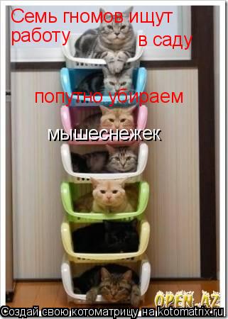 Семь гномов ищут работу в саду попутно убираем мышеснежек... Котоматрица: Семь гномов ищут работу в саду попутно убираем мышеснежек