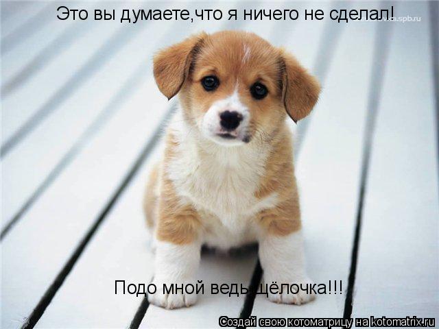 Это вы думаете,что я ничего не сделал! Подо мной ведь щёлочка!!!... Котоматрица: Это вы думаете,что я ничего не сделал! Подо мной ведь щёлочка!!!