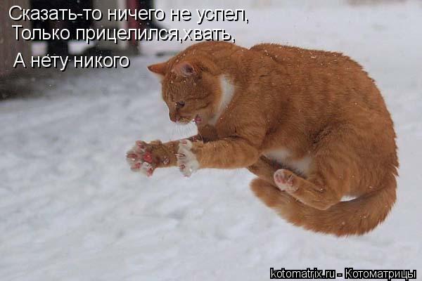 Сказать-то ничего не успел, Только прицелился,хвать, А нету никого... Котоматрица: Сказать-то ничего не успел, Только прицелился,хвать, А нету никого