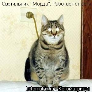 Светильник " Морда". Работает от сети.... Котоматрица: Светильник " Морда". Работает от сети.