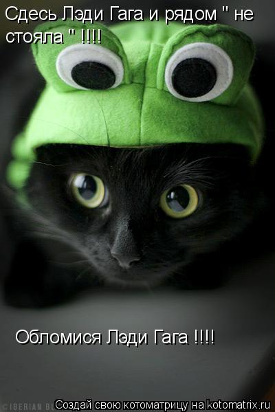 Cдесь Лэди Гага и рядом " не стояла " !!!! Обломися Лэди Гага !!!!... Котоматрица: Cдесь Лэди Гага и рядом " не стояла " !!!! Обломися Лэди Гага !!!!