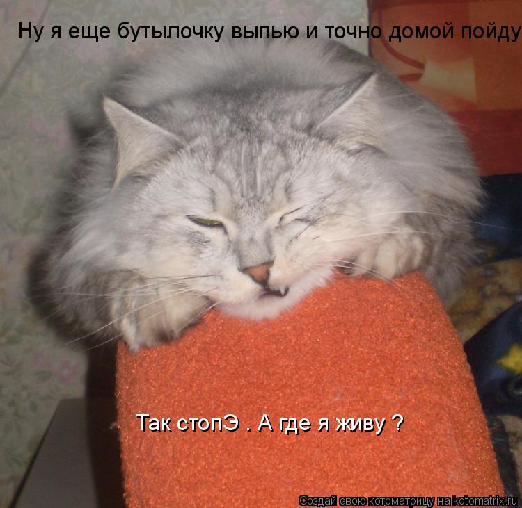 Ну я еще бутылочку выпью и точно домой пойду Так стопЭ . А где я живу ?... Котоматрица: Ну я еще бутылочку выпью и точно домой пойду Так стопЭ . А где я живу ?