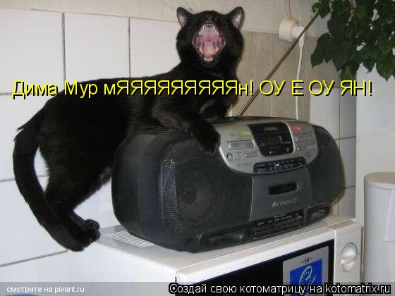 Дима Мур мЯЯЯЯЯЯЯЯЯн! ОУ Е ОУ ЯН!... Котоматрица: Дима Мур мЯЯЯЯЯЯЯЯЯн! ОУ Е ОУ ЯН!