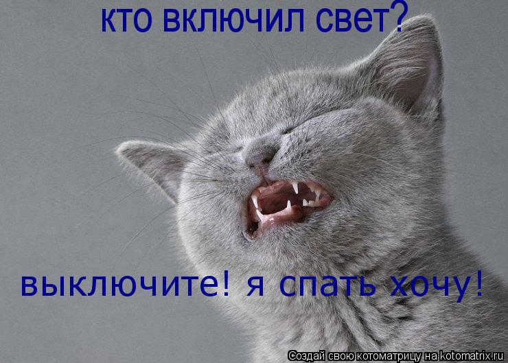 кто включил свет? выключите! я спать хочу!... Котоматрица: кто включил свет? выключите! я спать хочу!