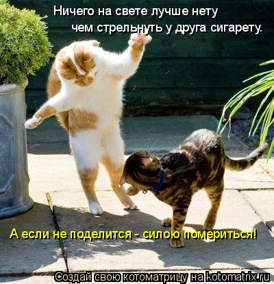 Ничего на свете лучше нету чем стрельнуть у друга сигарету. А если не поделится - силою помериться!... Котоматрица: Ничего на свете лучше нету чем стрельнуть у друга сигарету. А если не поделится - силою помериться!