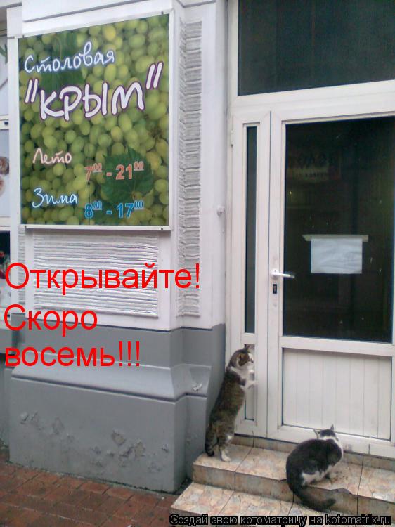 Открывайте! Скоро восемь!!!... Котоматрица: Открывайте! Скоро восемь!!!