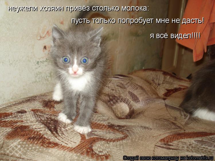 неужели хозяин привёз столько молока: пусть только попробует мне не дасть! я всё видел!!!!... Котоматрица: неужели хозяин привёз столько молока: пусть только попробует мне не дасть! я всё видел!!!!