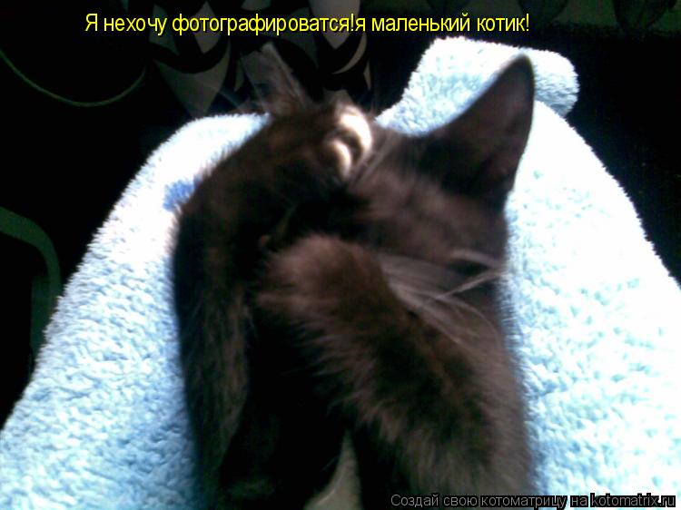 Я нехочу фотографироватся!я маленький котик!... Котоматрица: Я нехочу фотографироватся!я маленький котик!