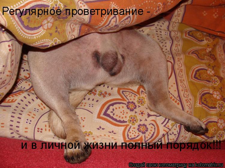 Регулярное проветривание - и в личной жизни полный порядок!!!... Котоматрица: Регулярное проветривание - и в личной жизни полный порядок!!!