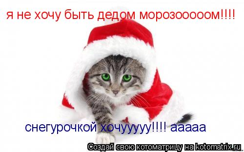 я не хочу быть дедом морозооооом!!!! снегурочкой хочууууу!!!! ааааа... Котоматрица: я не хочу быть дедом морозооооом!!!! снегурочкой хочууууу!!!! ааааа