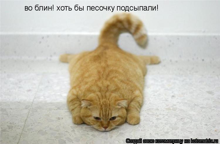 во блин! хоть бы песочку подсыпали!... Котоматрица: во блин! хоть бы песочку подсыпали!